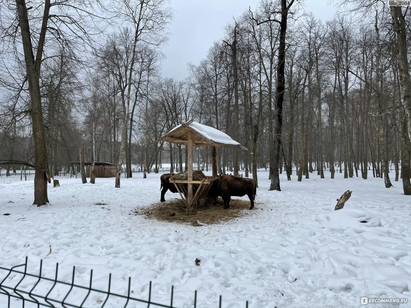 ФГБУ «Приокско-Террасный государственный заповедник», Серпуховской район -  «Дорога к зубрам. » | отзывы