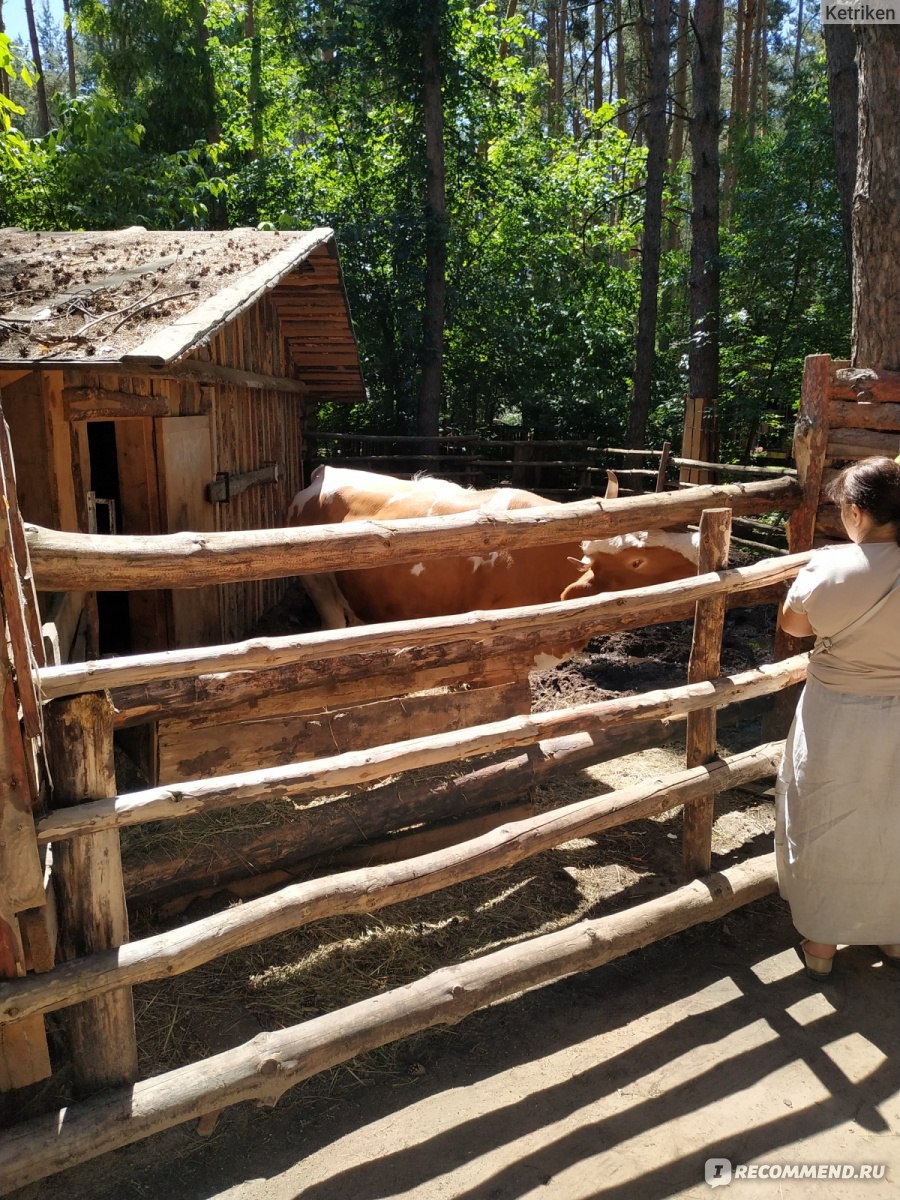 Ульяновский Зоопарк ( в парке 40 лет ВЛКСМ)