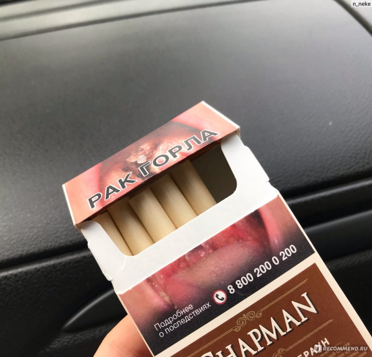 Сигареты Chapman Brown фото
