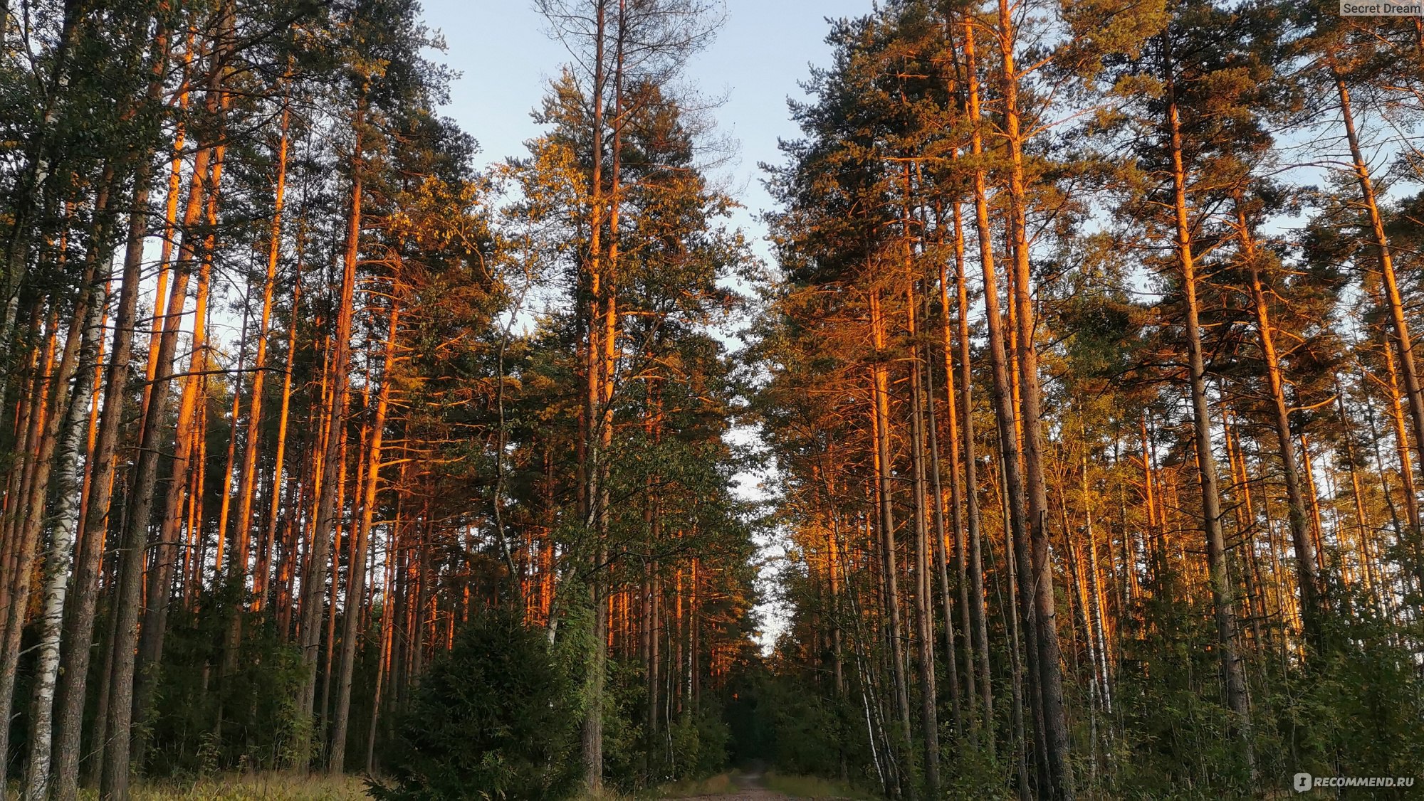 Ленинская тропа, Санкт-Петербург - «