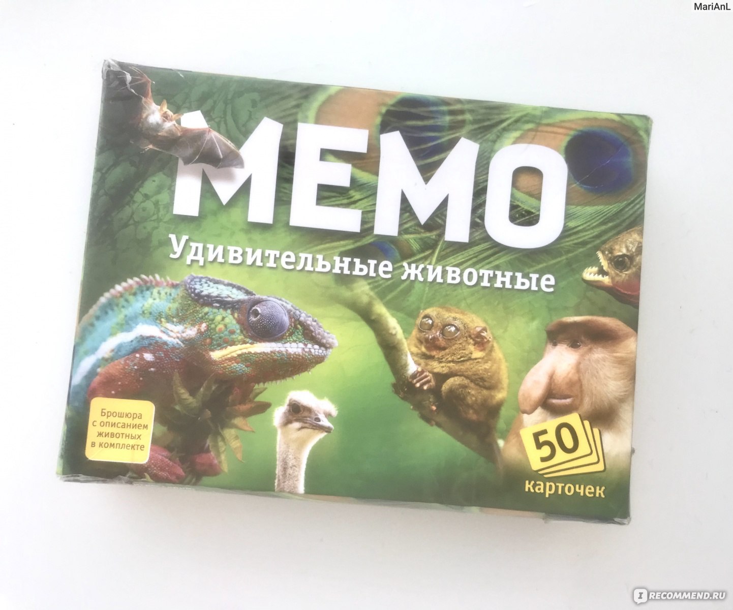 Настольная игра МЕМО Удивительные животные - «Мемо «удивительные животные»  изучай животных и развивай память) Хочешь узнать, какое животное самое  быстрое? А самое большое? Все это- в игре мемо)» | отзывы