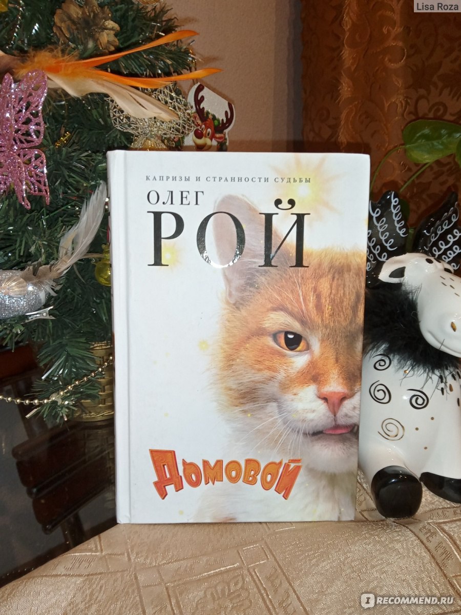 Домовой. Олег Рой - «Любимая книга,которая по мотивам книги 🤩» | отзывы