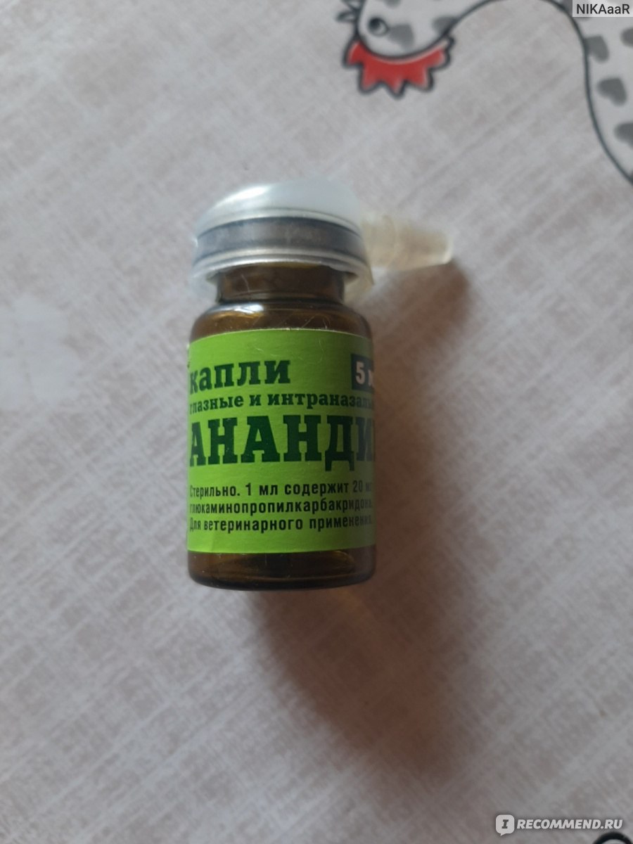 Глазные капли ООО"НИО Медитэр" Анандин - «Помогли от конъюктивита ...