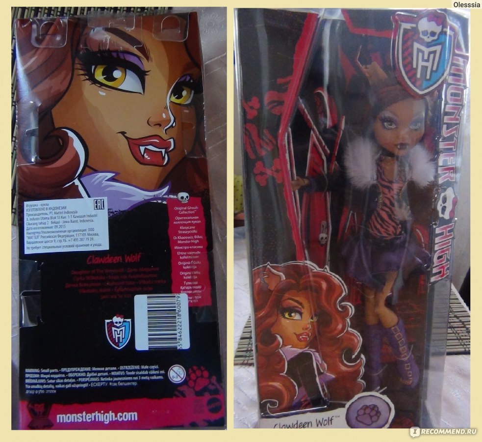Кукла Monster High Дана Джонс купить по цене ₽ в интернет-магазине Детский мир