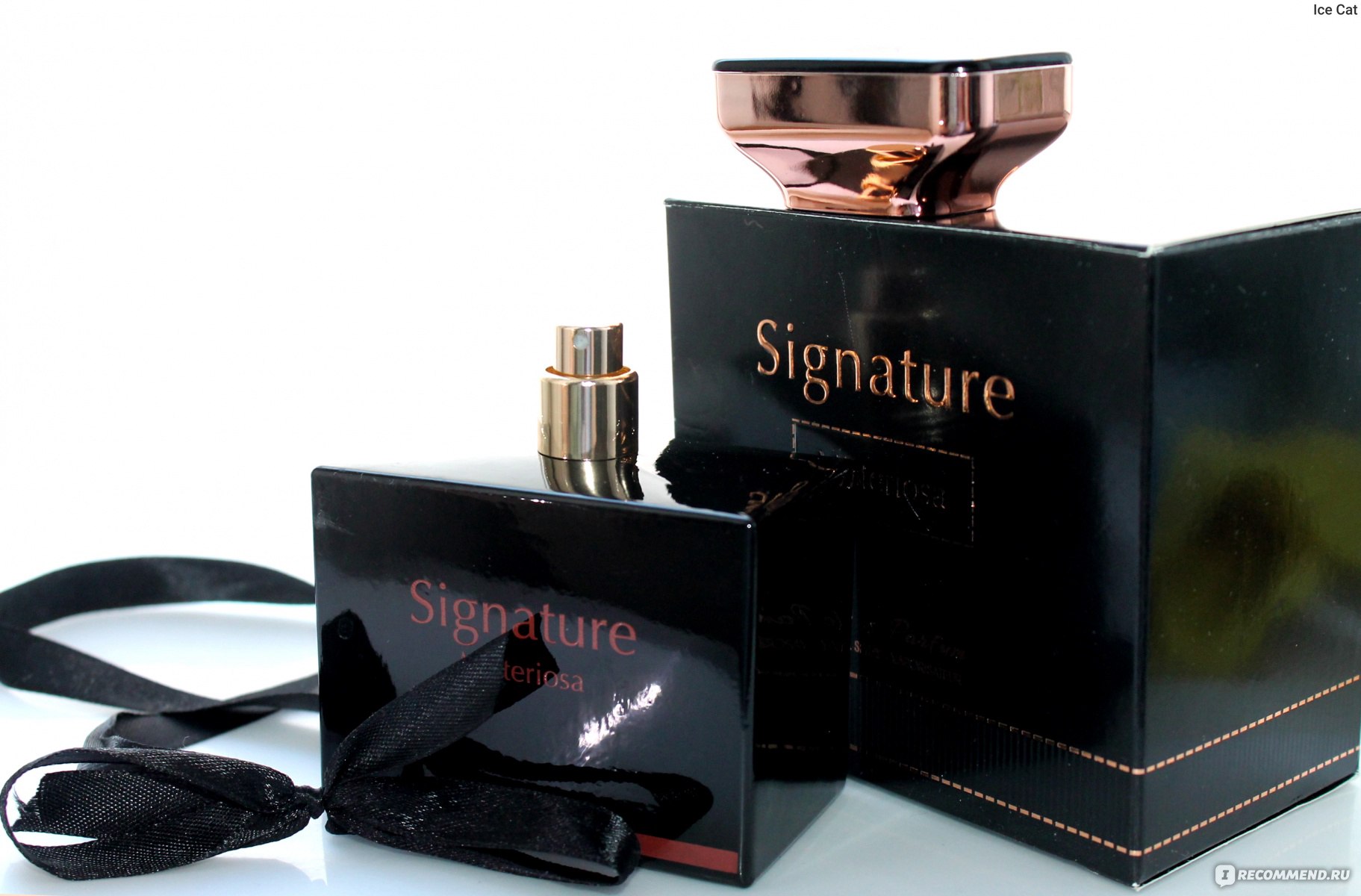 Signature parfum. Духи Signature misteriosa. Signature misteriosa арабские духи. Духи Montblanc Signature. Signature духи женские.