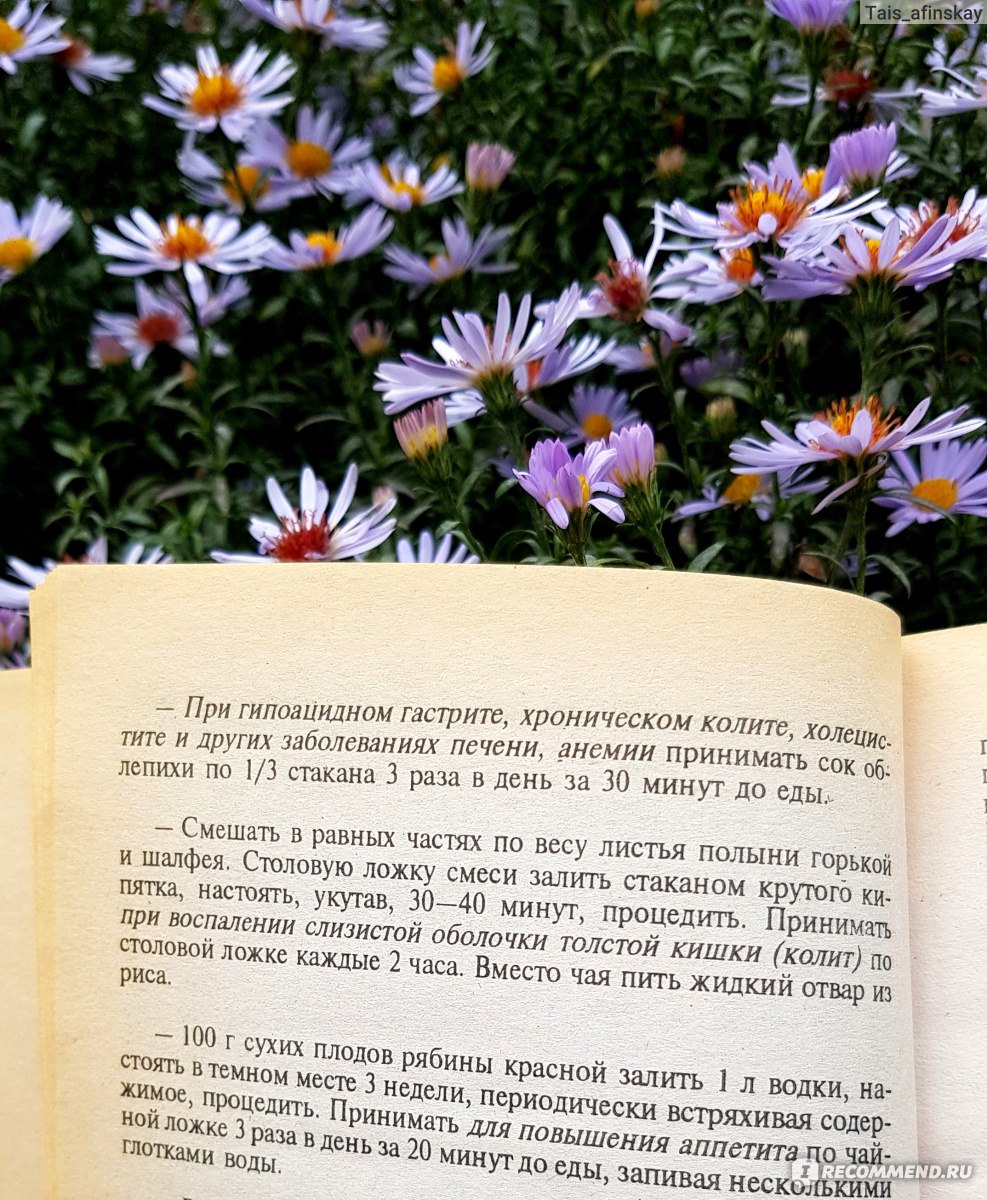 365 лучших рецептов народной медицины. Николай Даников - «