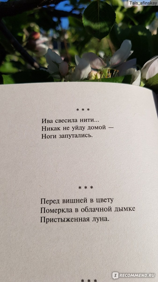 Во тьме безлунной ночи. Мацуо Басё - «Хайку Мацуо Басё. Весеннее волшебное  приключение и хокку, написанные мной» | отзывы