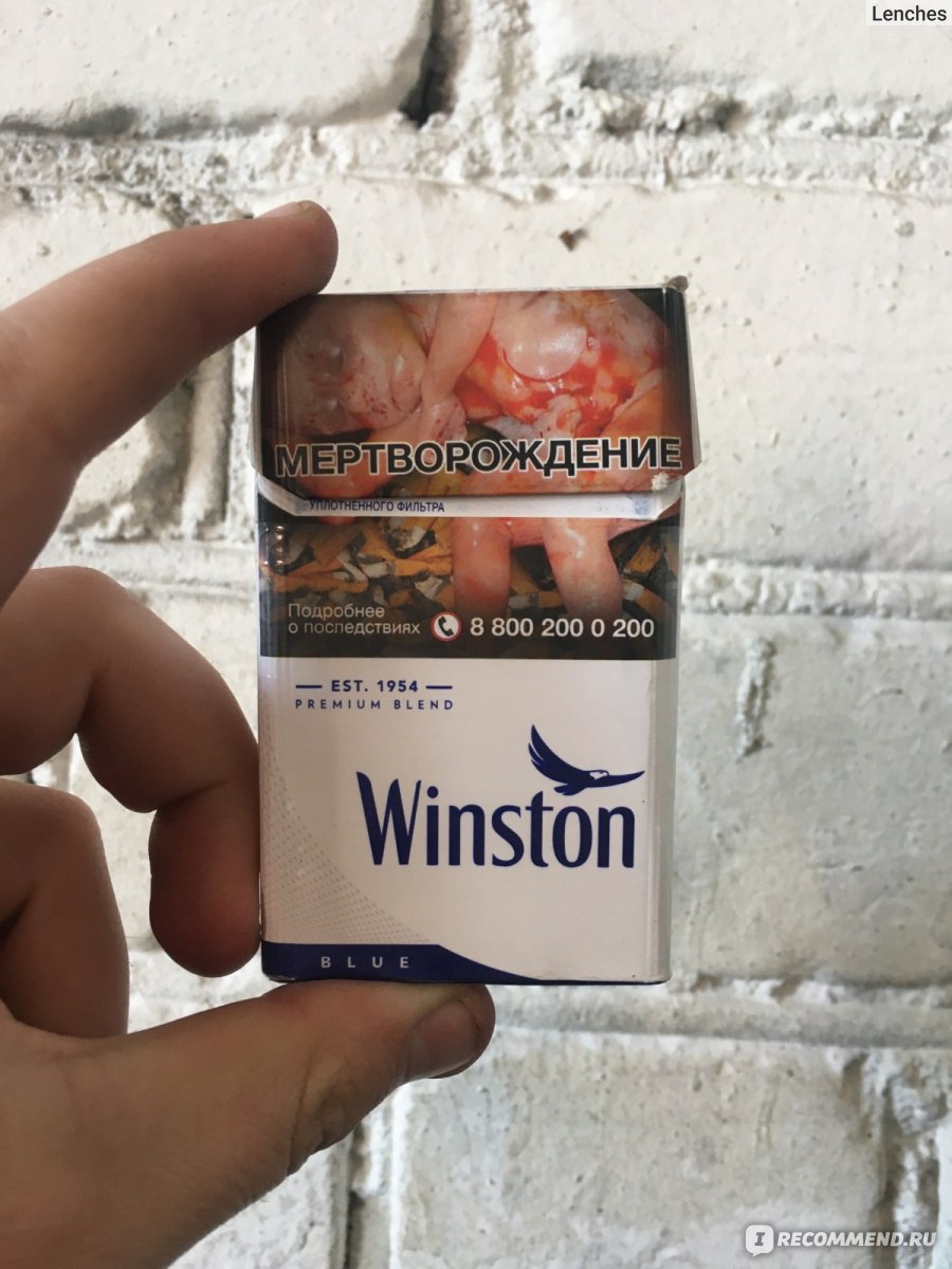 Винстон компакт блю. Сигареты Winston Blue. Сигареты Winston Compact. Сигареты Винстон ИКСТАЙЛ синий. Сигареты Винстон компакт.