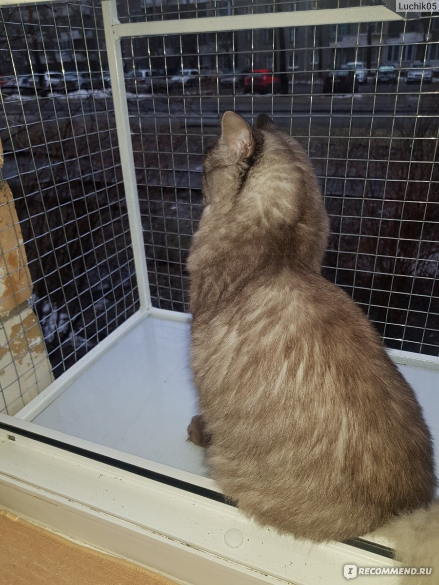 Вольеры для кошек на балкон или окно "Дела мастер" фото