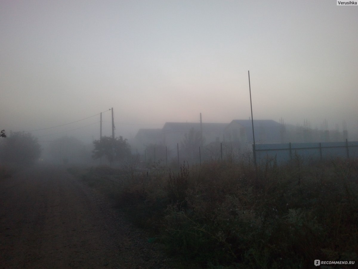 Поселок Кучугуры, Темрюкский район, Краснодарский край. фото