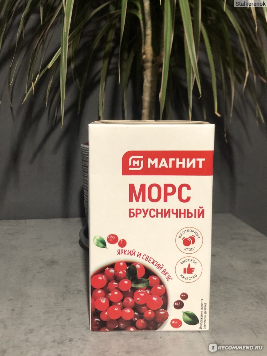 Морс МАГНИТ Брусничный - «Брусничный морс от «Магнит»🙌 Вместо сока, для  разнообразия😉» | отзывы