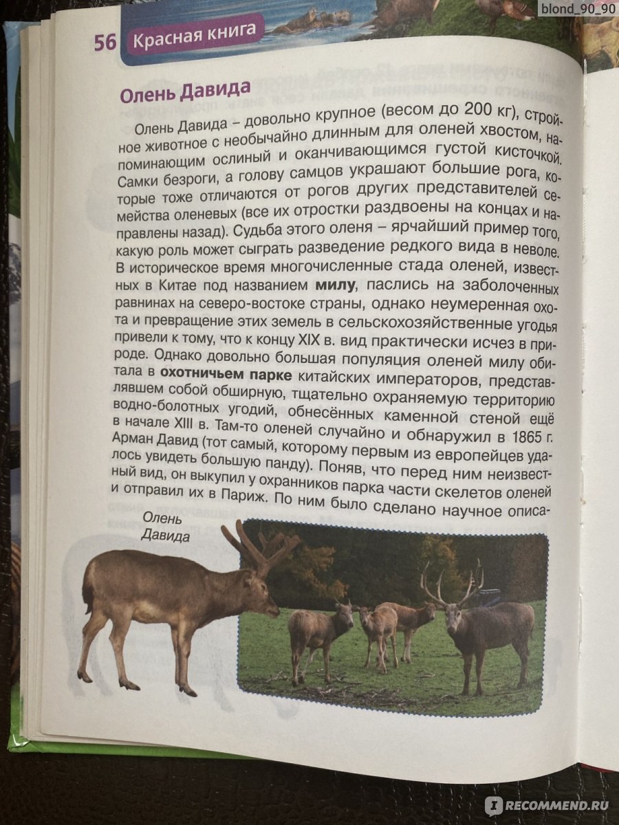 Красная книга. Травина Ирина Владимировна, Ооо Росмэн - «Орхидеи занесены в Красную  книгу?! А в магазинах большой ассортимент. У нас на участке растут  подснежники, но они тоже являются представителями Красной книги. Очень