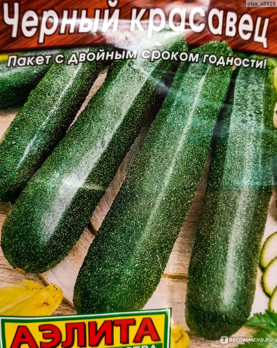 План посадки кабачков