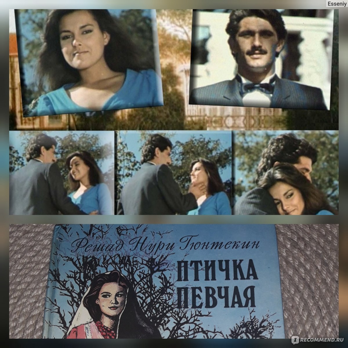 Королек птичка певчая книга отзывы