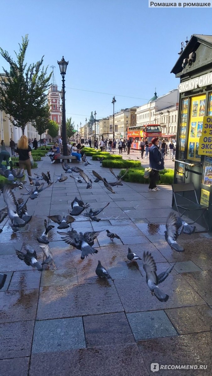 Невский проспект, Санкт-Петербург - «Прогулка по Невскому. Советы и  секреты.» | отзывы