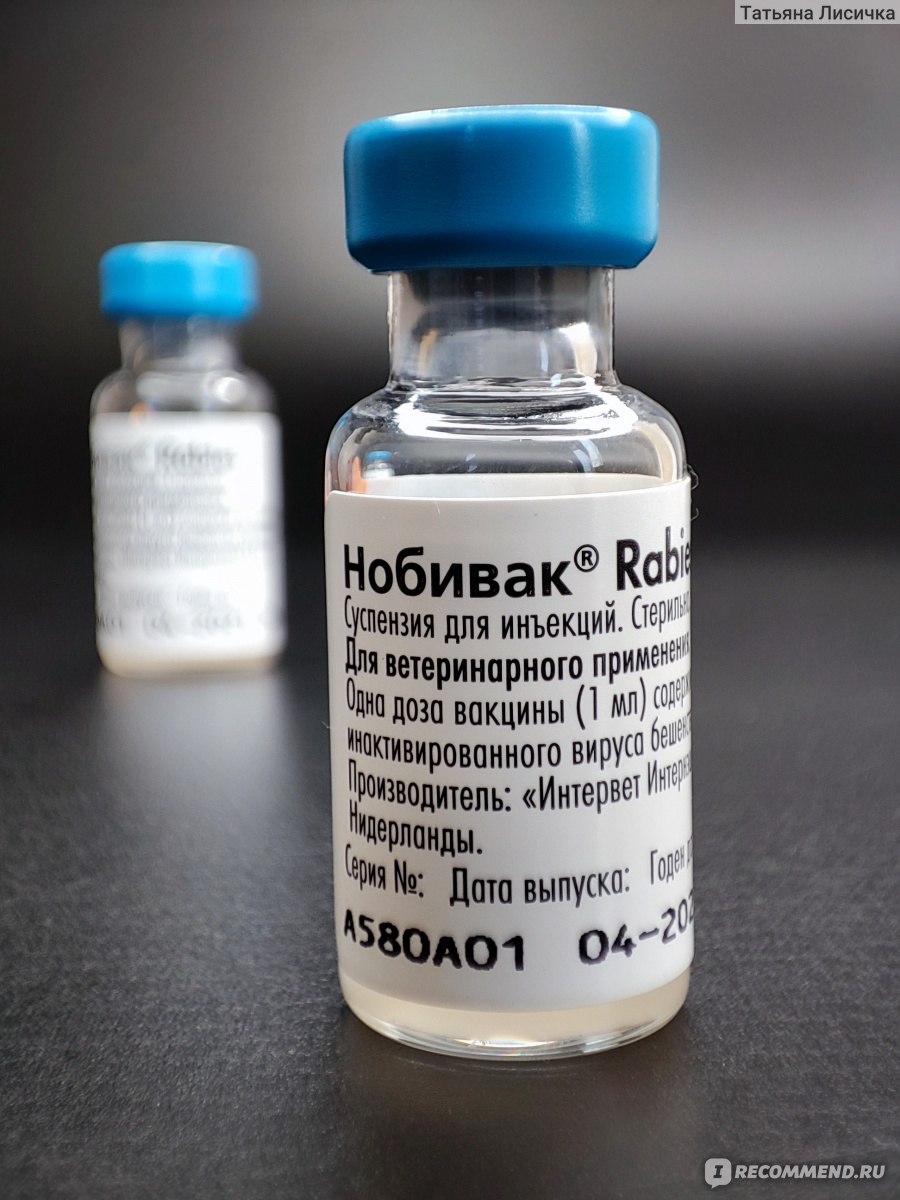 Вакцина Nobivac DHPPI - «Профилактическая иммунизация наших собак, включая  вакцину от бешенства Нобивак©» | отзывы