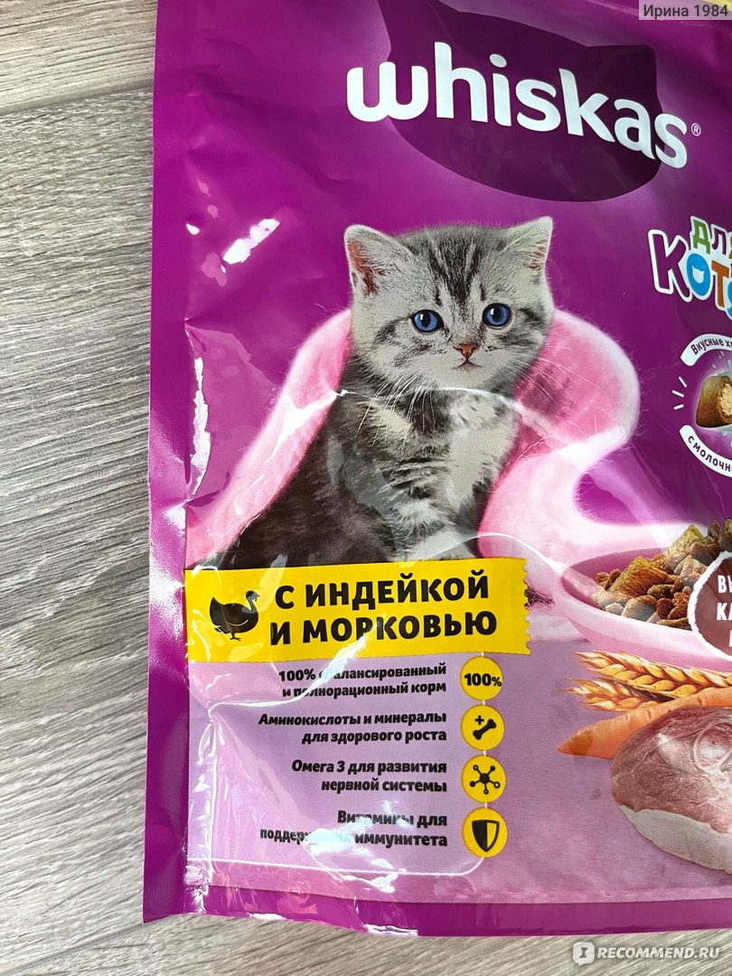 Очень нужен совет по поимке дикой кошки с котятами