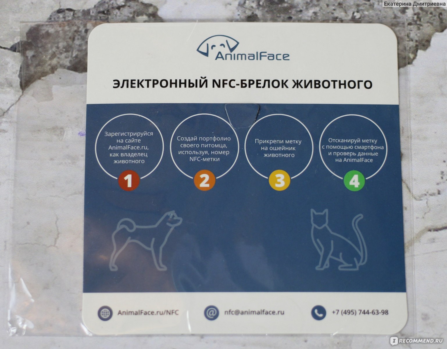 NFC - адресник AnimalFace - «NFC-метка от AnimalFace или просканируй сам  своего питомца :)» | отзывы