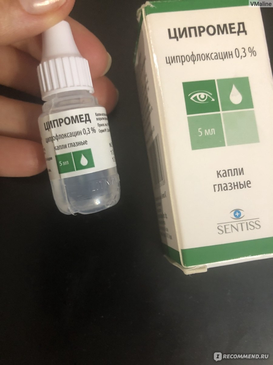 Капли для глаз Sentiss ЦИПРОМЕД - «Хорошие капли, быстро помогли от ...
