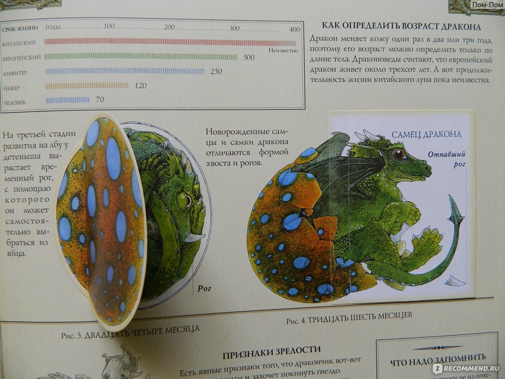 Махаон издательство