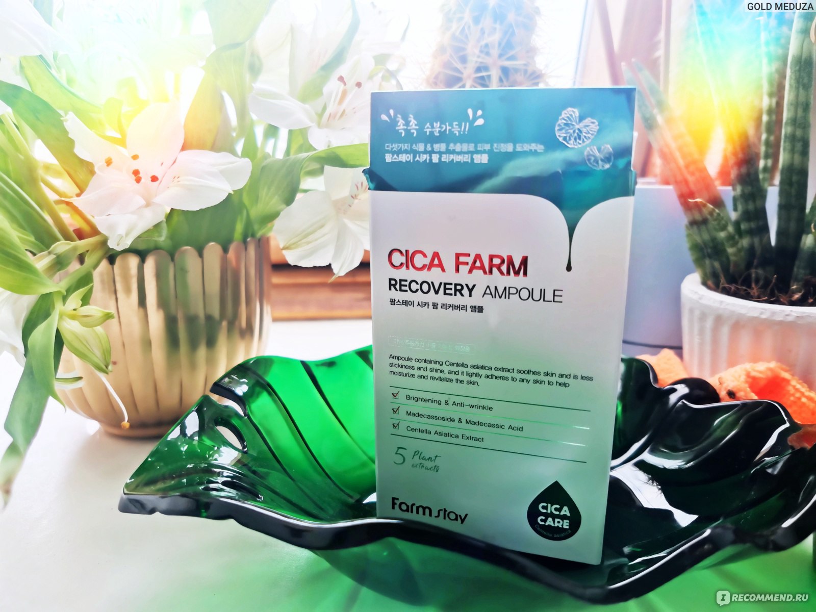 Cica farm отзывы. Farmstay cica Farm Recovery Ampoule. Cica Farm сыворотка для лица. Сыворотка для лица с центеллой азиатской Farm stay cica Farm Recovery Ampoule. Сыворотка для лица Farmstay cica Farm Recovery Ampoule, 250 мл.