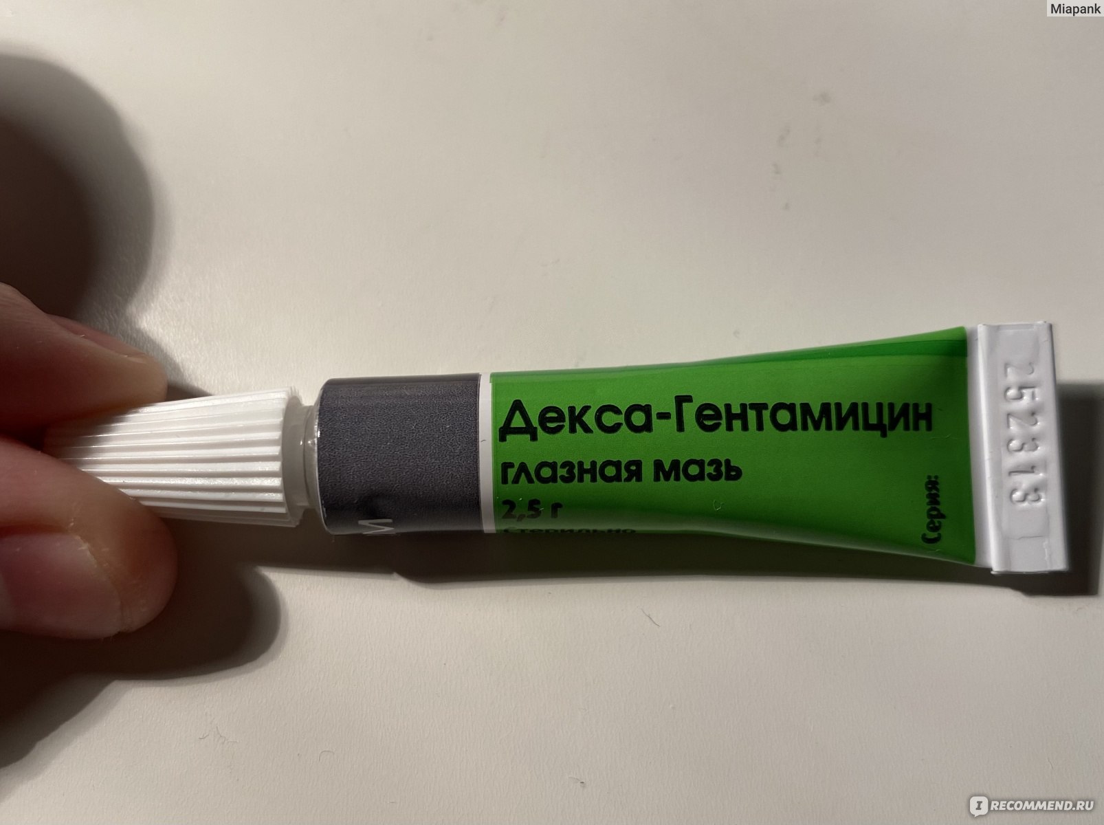 Мазь URSAPHARM Глазная Декса - Гентамицин - «Как убрать симптомы ...