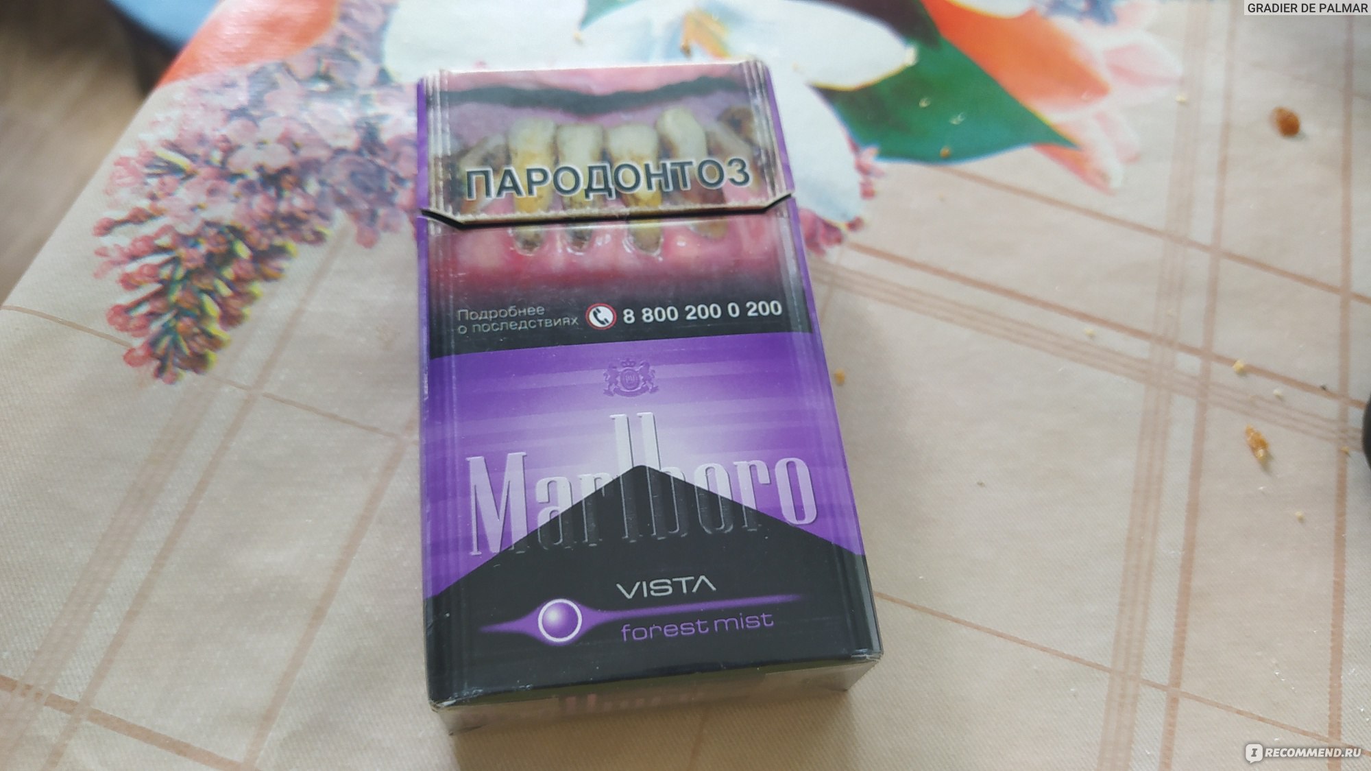 Сигареты marlboro vista forest mist фото