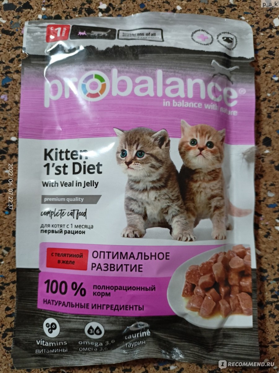 Влажный корм для котят Probalance Kitten 1st Diet с телятиной в желе - «Все  было хорошо, пока не начался 2022 год» | отзывы