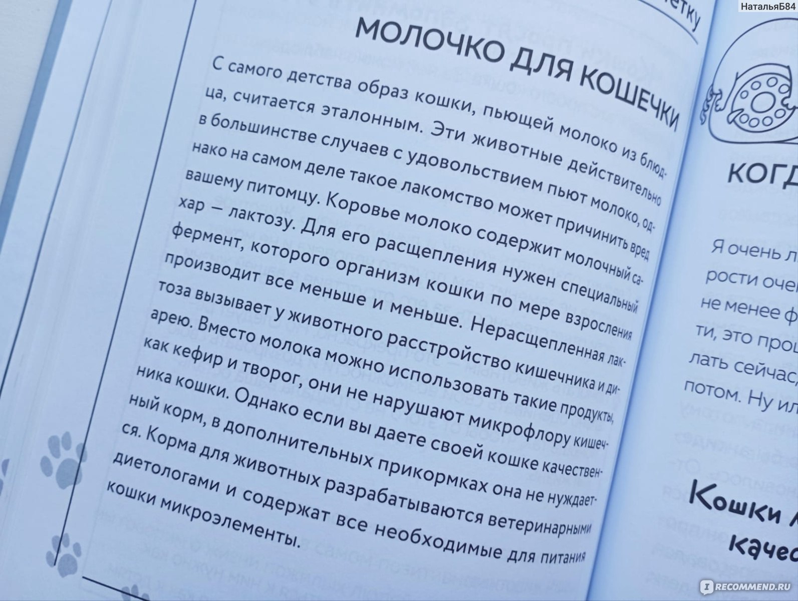 Кот в доме хозяин! Как понять своего питомца, подружиться и не навредить