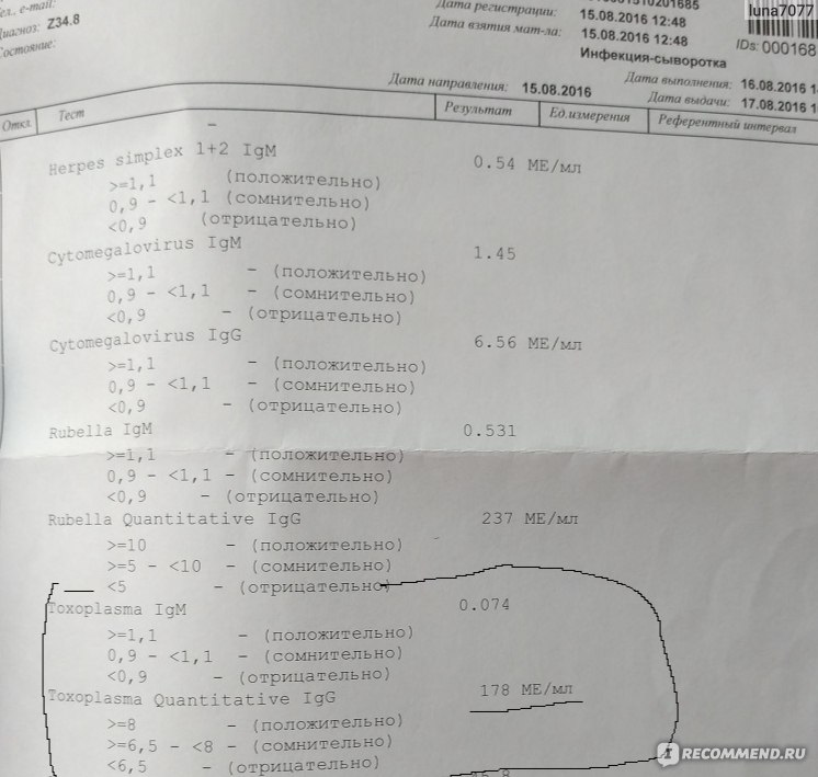 Токсоплазмоз при беременности: диагностика и лечение