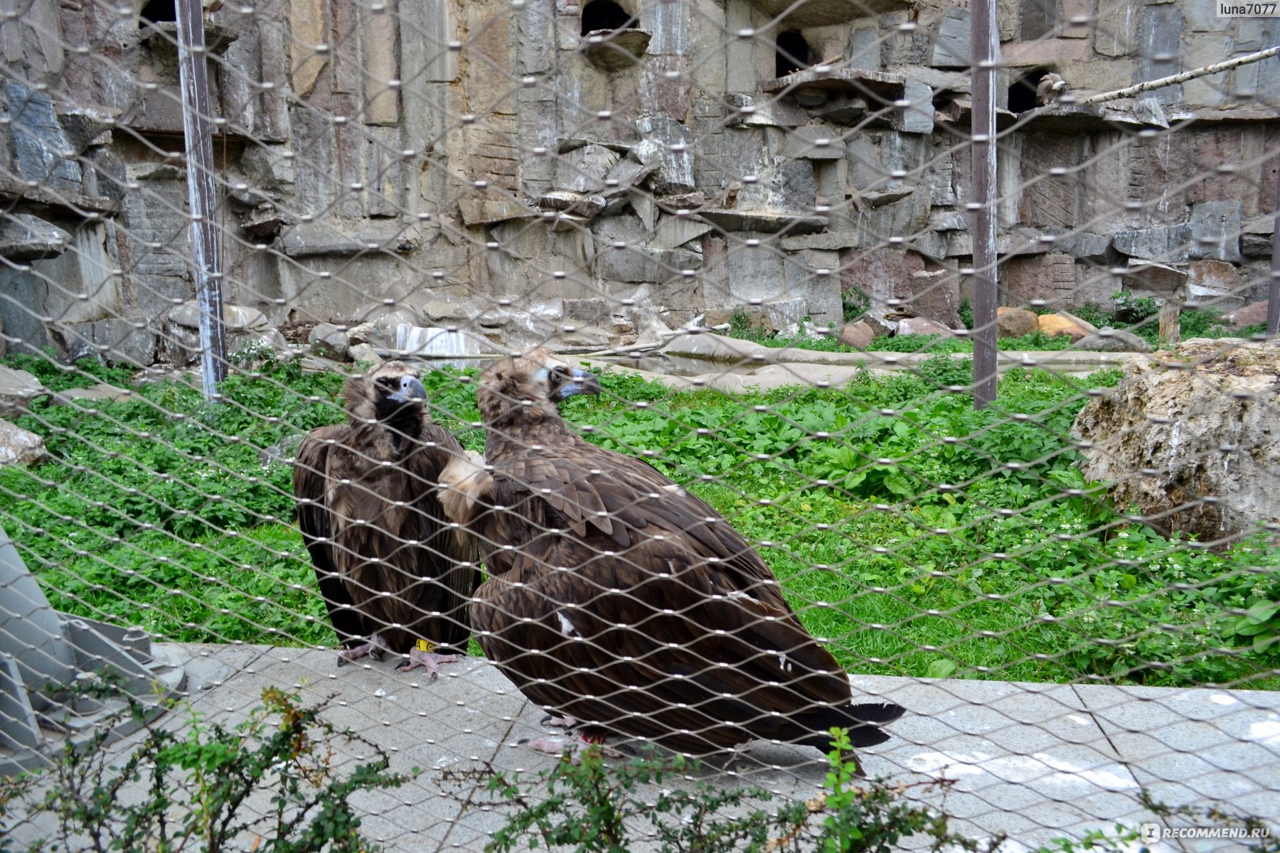 животные в московском зоопарке
