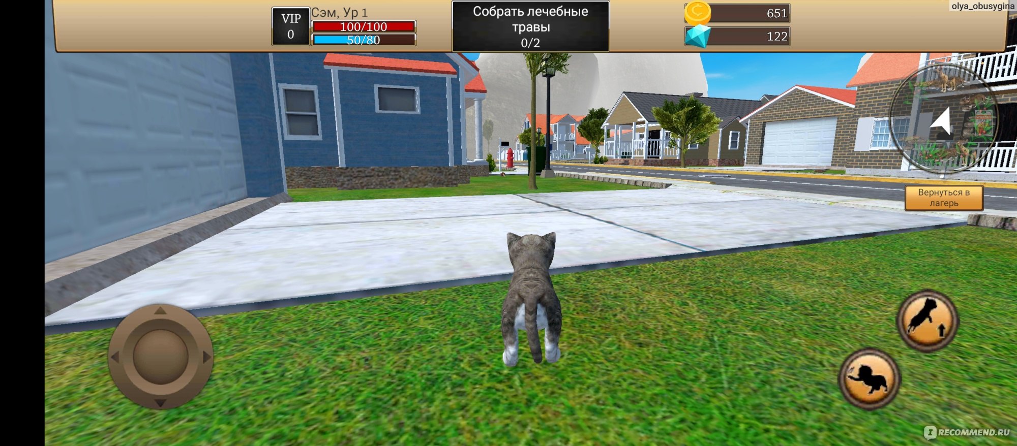 Приложение Симулятор Кота - Cat Simulator - «Отличное кошачье приложение  для 3D игры» | отзывы