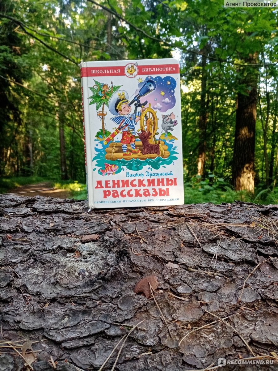 Денискины рассказы, Виктор Драгунский - « И к нам вошел какой-то дяденька.  Я как на него взглянул, так сразу понял, что в Кремль я не пойду: еще одна  моя детская любовь - 