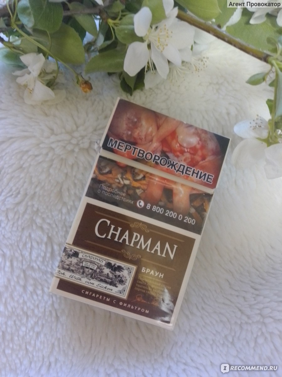 Чапман отзывы. Chapman сигареты. Сигареты Chapman Brown. Чапман сигареты виды вкусов.