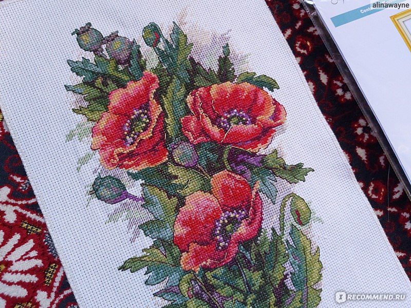 Купить вышивку CC Poppy Garland (Венок из маков) (Anchor) по цене руб. в Новосибирске