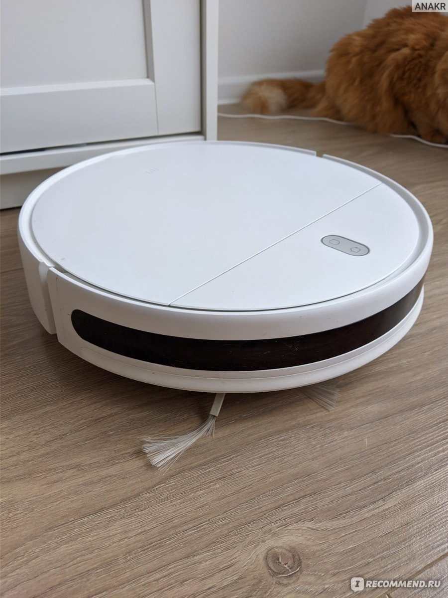 Робот-пылесос Xiaomi Mi Robot Vacuum-Mop Essential G1 - «Мой незаменимый  помощник в доме с пушистой 🐱🐱. Поддерживает чистоту между уборками⚙️ Могу  лежать на диване, работать из офиса, находиться на отдыхе в другой