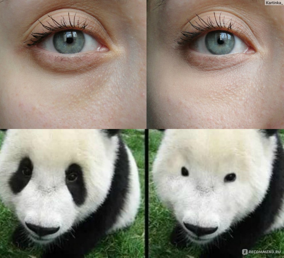 Панда без черных кругов под глазами фото