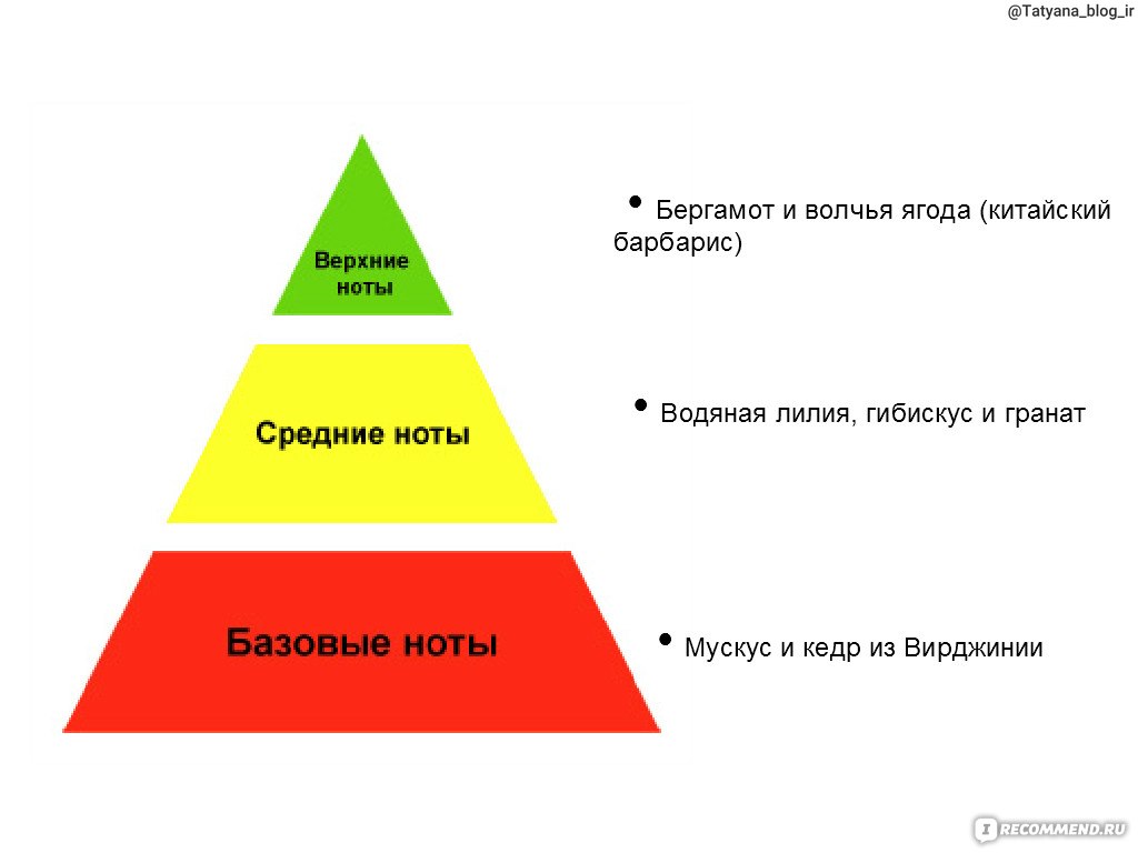 Ноты духов. Ольфакторная пирамида аромата. Базовый Ноты духов. Верхние средние и базовые Ноты аромата что это. Что такое Верхние средние и базовые Ноты в парфюмерии.