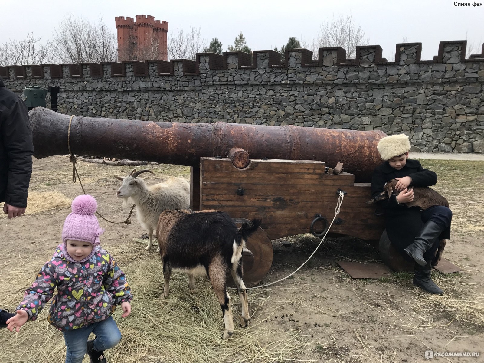 Донской военно-исторический музей, Хутор Недвиговка Ростовская область -  «Самобытный музей, где оживает история. » | отзывы