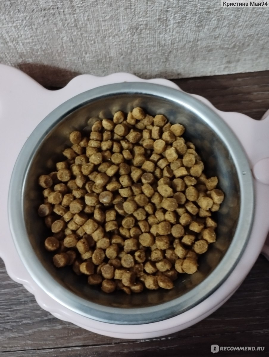 Корм для кошек Purina Pro Plan Delicate для котят при чувствительном  пищеварении, с индейкой 1-12 месяцев - «Неоправданная цена » | отзывы