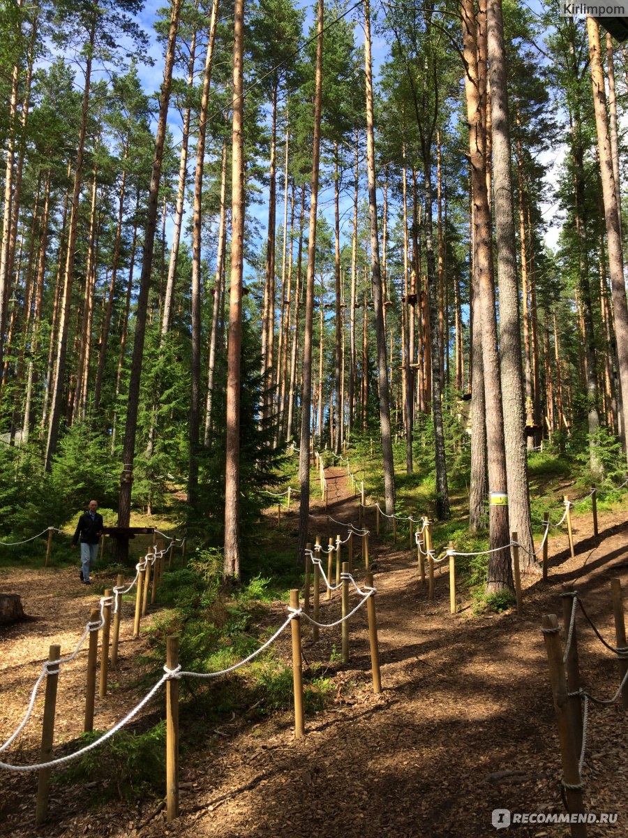 веревочный парк санкт петербург