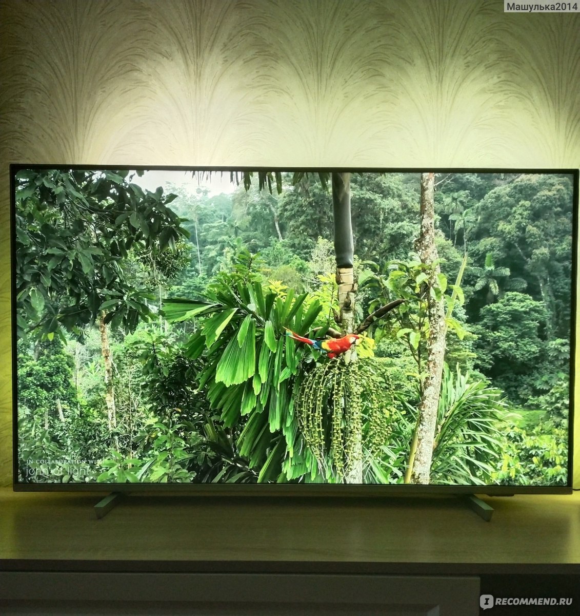 LED-телевизор Philips 4K UHD с Android TV 50PUS7956/60 - «