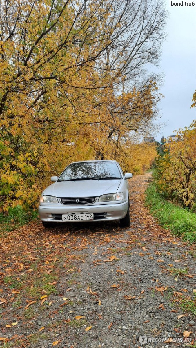 Toyota Corolla - 1996 - «Бандитка» | отзывы