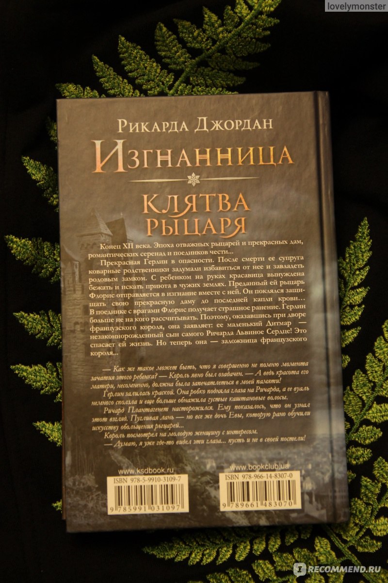 Изгнанница. Клятва рыцаря. Р. Джордан - «Не возлагала на книгу больших  надежд, а оказалось, в моем доме пылилось настоящее сокровище!» | отзывы