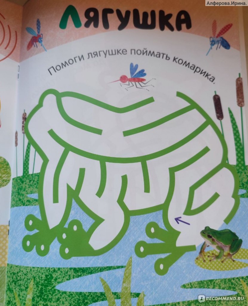 Лабиринты для малышей 2+ Издательство Мозаика Kids - «Нам очень зашли ...