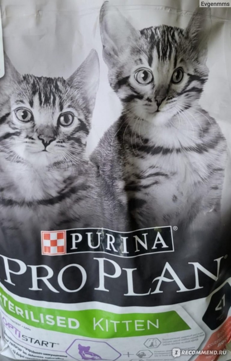 Корм для кошек Purina Pro Plan Sterilised для стерилизованных котят с  лососем - «Для котят после стерилизации, богатый состав, приятный вкус» |  отзывы