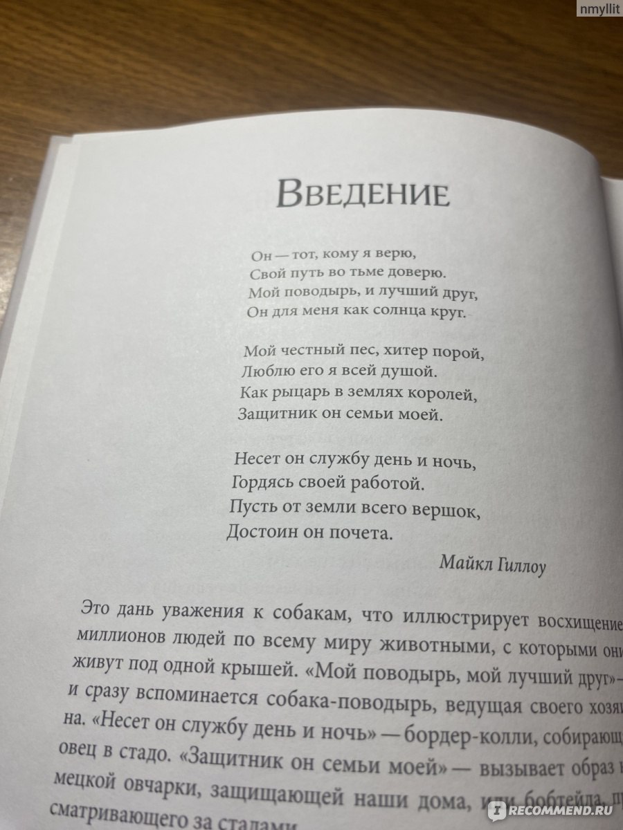 Думать как собака. Джон Фишер - «Как научиться понимать свою собаку.» |  отзывы