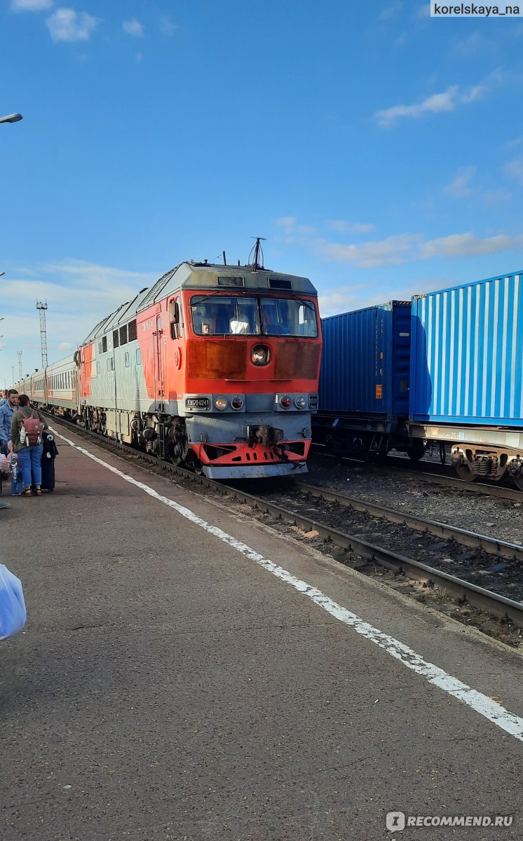 233 Архангельск - Москва - «Комфортная поездка в удобное время» | отзывы