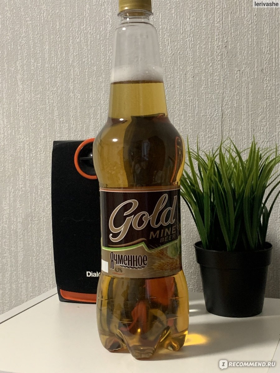 Пиво Gold Mine Beer Ячменное - «Приятный вкус, привлекательная цена. Разве  так бывает? Разберемся» | отзывы