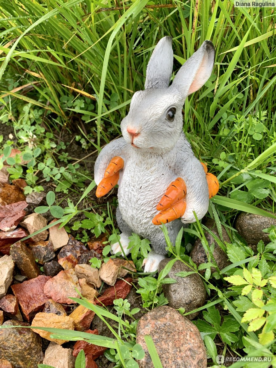 Фигура садовая «Заяц с морковкой» - «Зайцев много не бывает 🐰 Украсим мир  вокруг себя, начнём с дачи)) Главное остановиться 😃» | отзывы